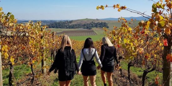 Evergreen Winery Tours