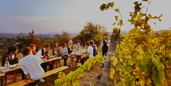 Geelong Wine Tours