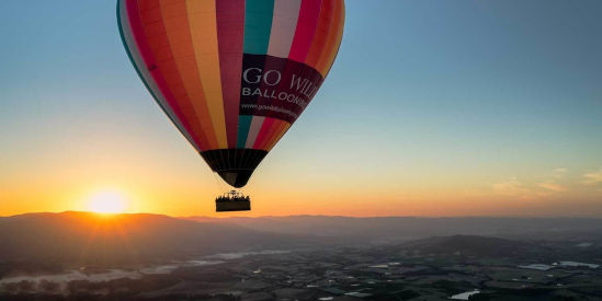 Go Wild Ballooning