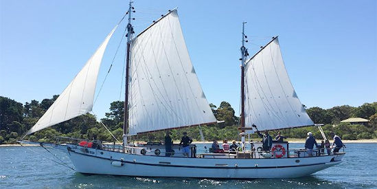 Pearl Lugger Cruises