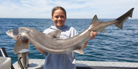 Queenscliff Fishing Charters & Scenic Tours