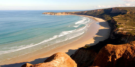 Surf Coast Walks