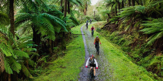 Warburton Adventure Co.