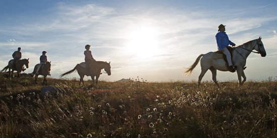 Watson's Mountain Country Trail Rides