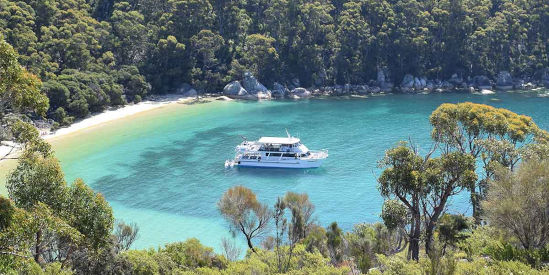 Wildlife Coast Cruises