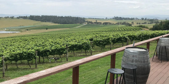 Wine Compass