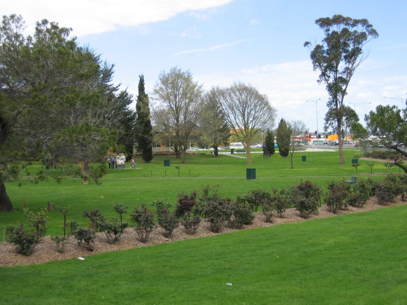 Traralgon - Victory Park and Newman Park - Roses