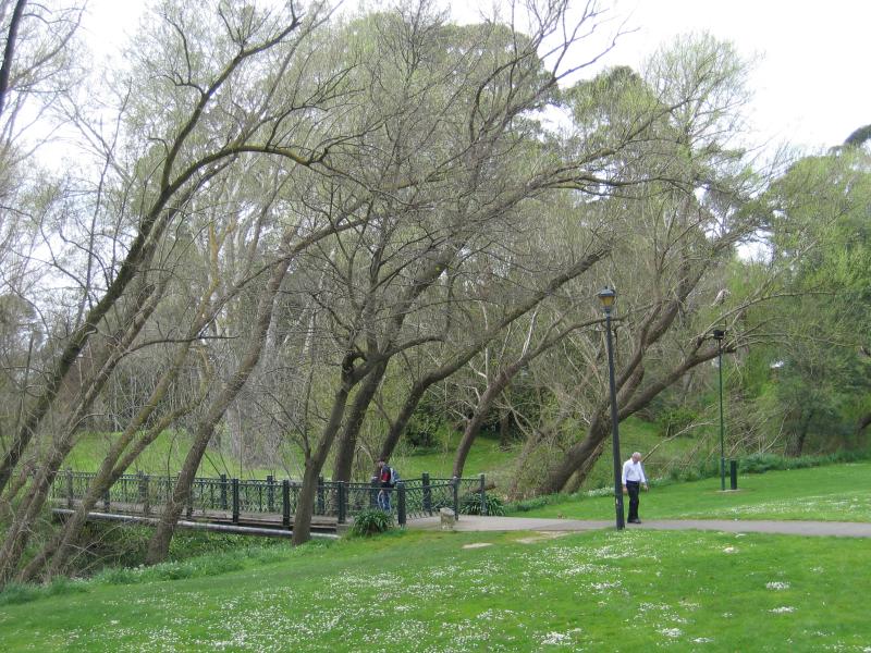 Traralgon - Victory Park and Newman Park: Bridge over Traralgon Creek
