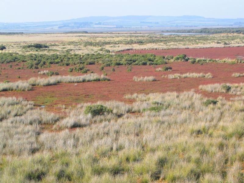 Venus Bay - Viewing platform, Lees Road at McIndoe Avenue: View north across wetlands from viewing platform