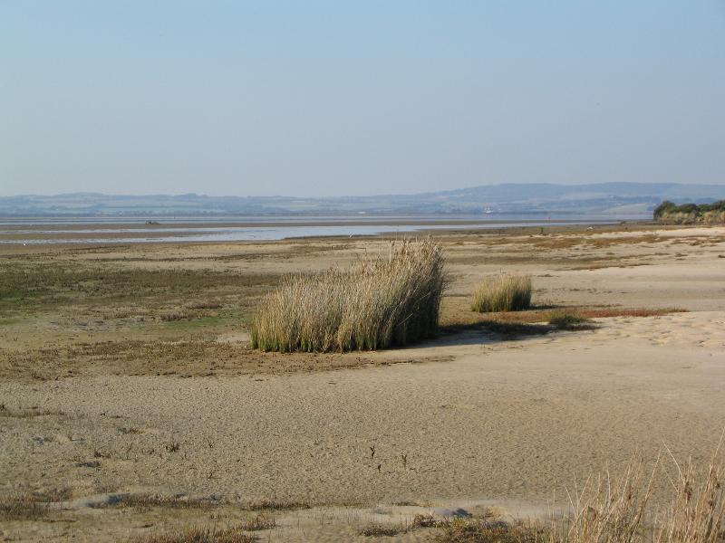 Venus Bay - Anderson Inlet at end of Doyles Road: View across wetlands and beach