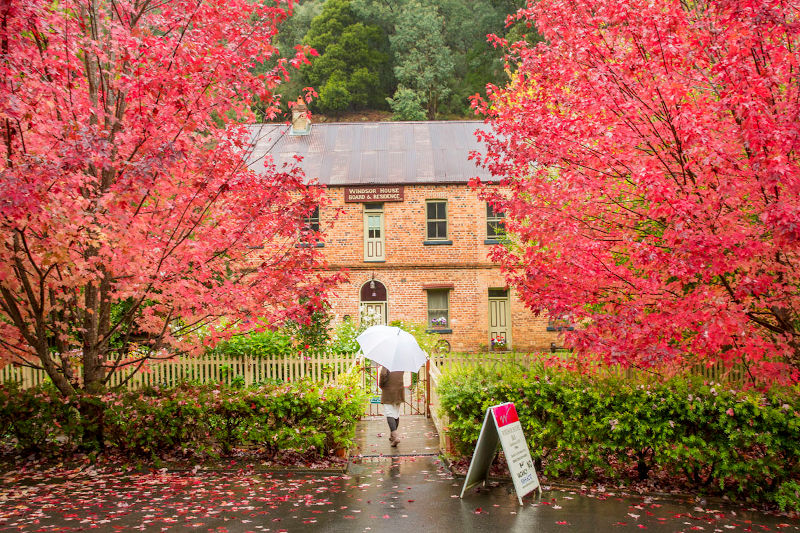 Walhalla - Windsor House Bed & Breakfast