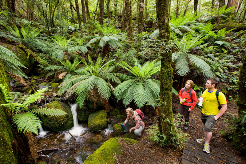 Walhalla - Great Walhalla Alpine Trail