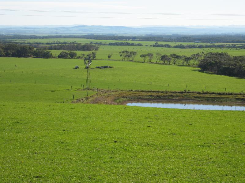 Walkerville - Fish Creek Road, north of Walkerville: North-west view across grazing land