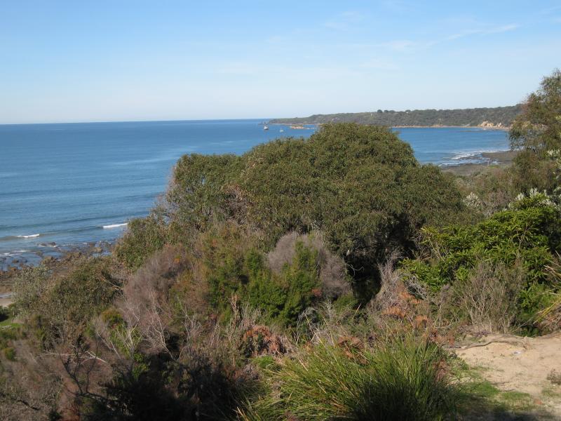 Walkerville - Bayside Drive as it descends down the coast: View south along coast