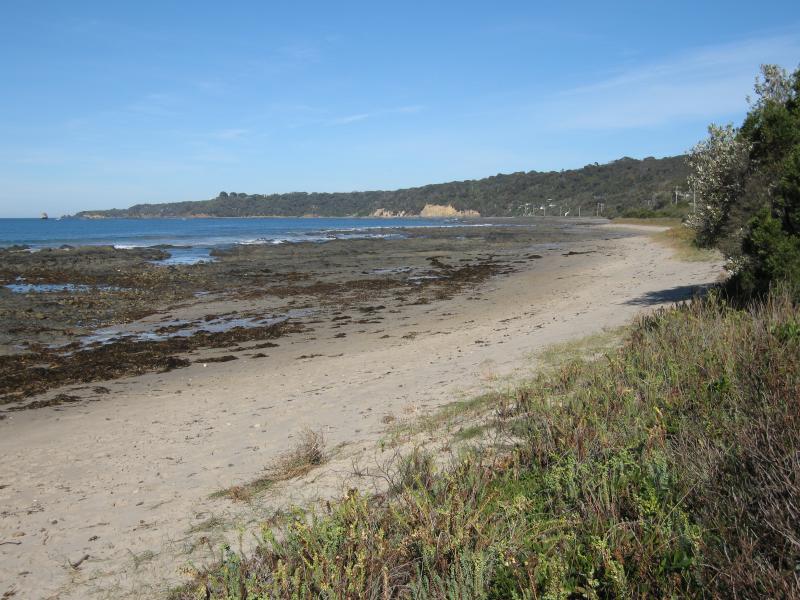 Walkerville - Beach and scenery along coastal section of Bayside Drive: View south along beach from caravan park
