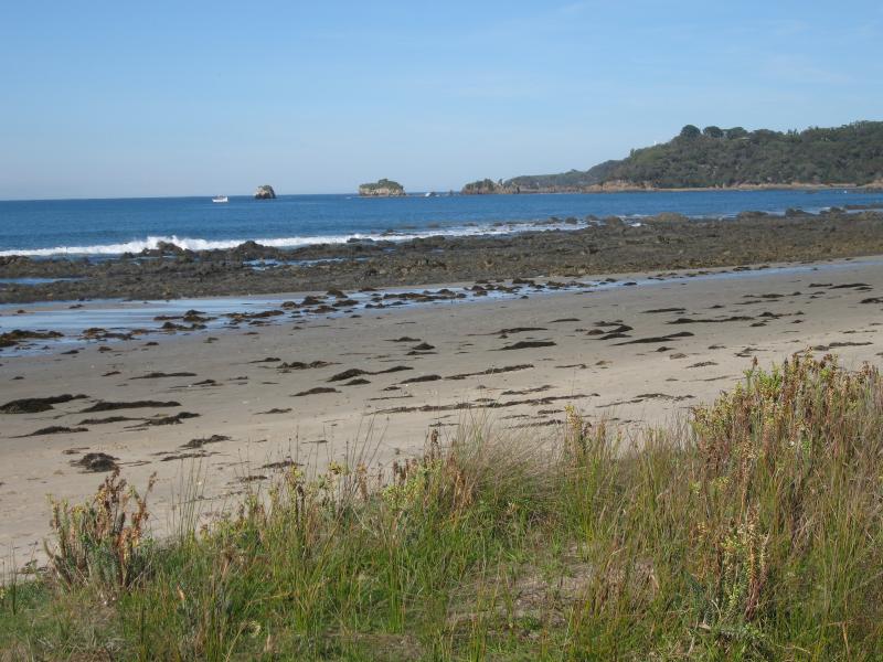 Walkerville - Beach and scenery along coastal section of Bayside Drive: View south along beach from Bayside Dr near Waratah St