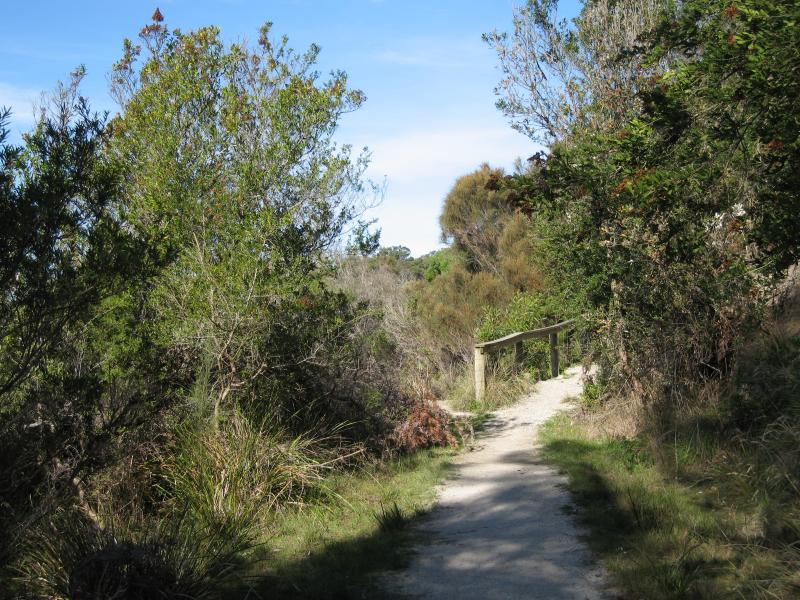 Walkerville - Limeburners Walk along cliffs between Walkerville North and Walkerville South: Walking track