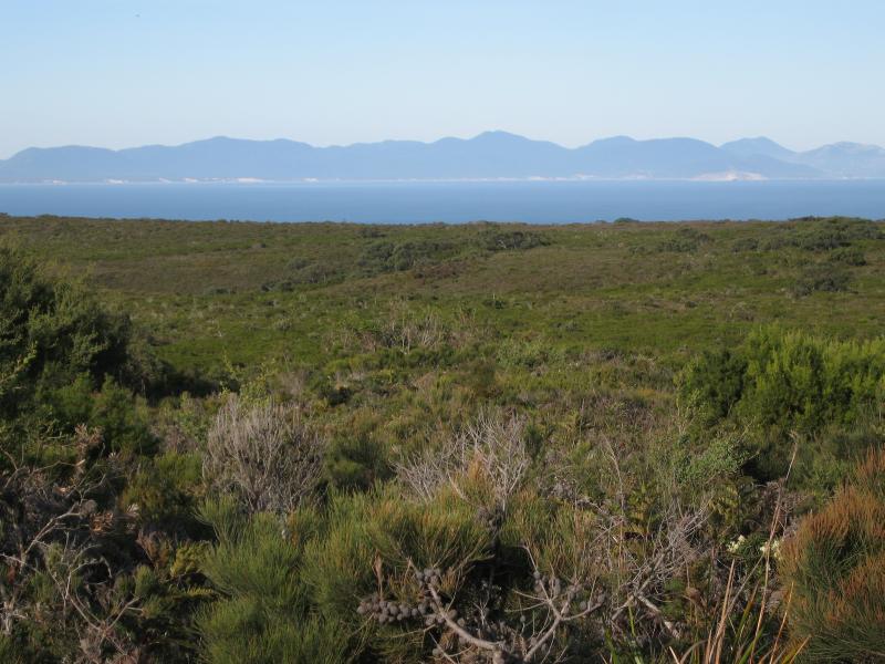 Walkerville - Walkerville South Road: View south-east towards the mountains of Wilsons Promontory, east of Cape Liptrap Rd