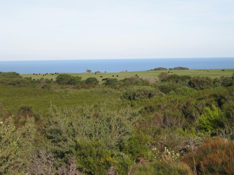 Walkerville - Walkerville South Road: View south towards grazing land, east of Cape Liptrap Rd