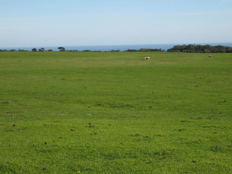 Walkerville - Cape Liptrap and lighthouse - Westerly view across grazing land, south of Walkerville South Rd