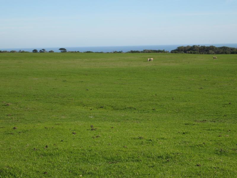 Walkerville - Cape Liptrap and lighthouse: Westerly view across grazing land, south of Walkerville South Rd