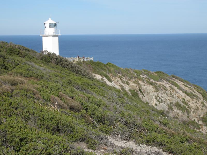Walkerville - Cape Liptrap and lighthouse: View south towards lighthouse from lookout