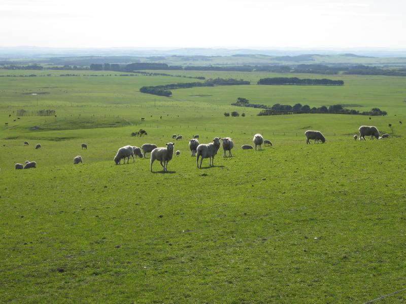 Walkerville - Walkerville Road between Promontory View estate and Walkerville South Road: View north-west across grazing fields