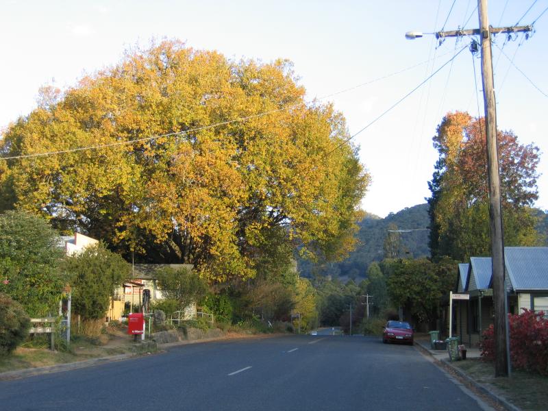 Wandiligong - Shops and commercial centre, Morses Creek Road: View south along Morses Creek Rd towards Bennett's Store