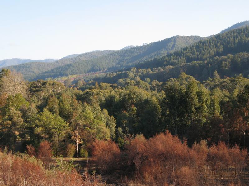 Wandiligong - Shops and commercial centre, Morses Creek Road: View south-west from Morses Creek Rd north of town centre