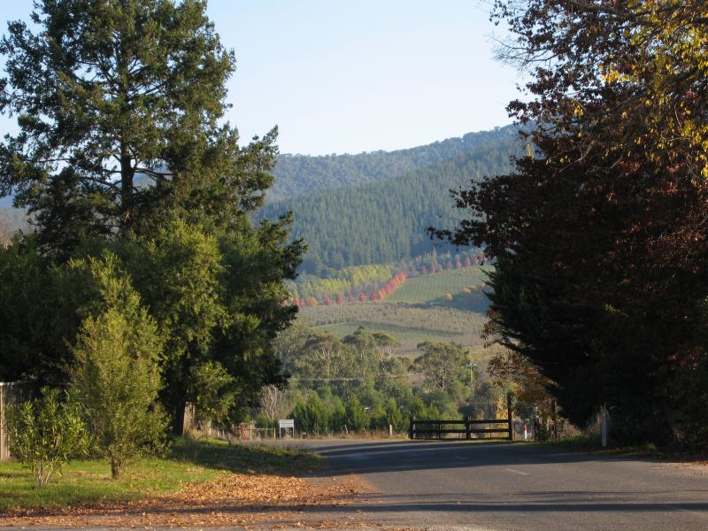 Wandiligong - Southern outskirts of Wandiligong: View south along Morses Creek Rd at Growlers Creek Rd