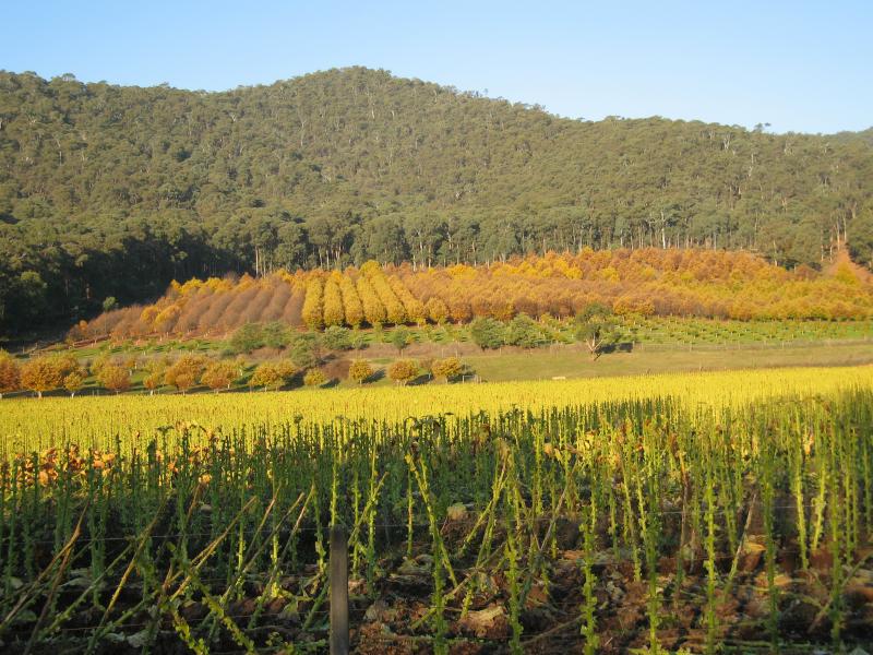 Wandiligong - Southern outskirts of Wandiligong - Tobacco fields, view east from Morses Creek Rd south of Centenary Av