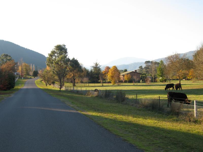 Wandiligong - Centenary Avenue: View north along Centenary Av north of Jagoes Rd