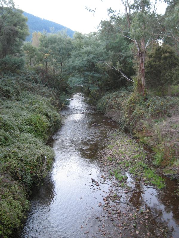 Wandiligong - Centenary Avenue: View north along Morses Creek at Stephens Bridge