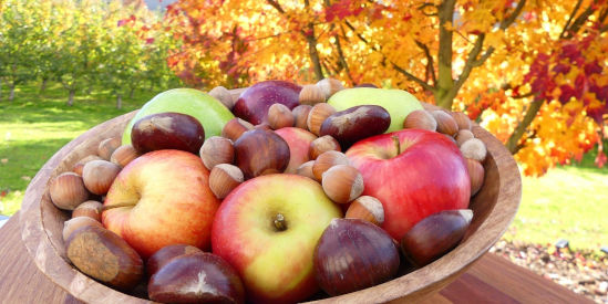 Nightingale Bros, Wandiligong