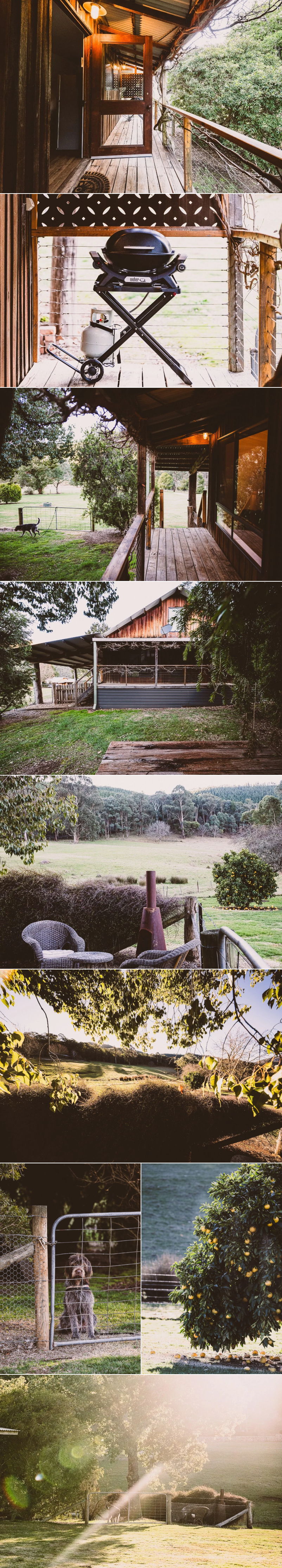 Way Out Wandi - Outside