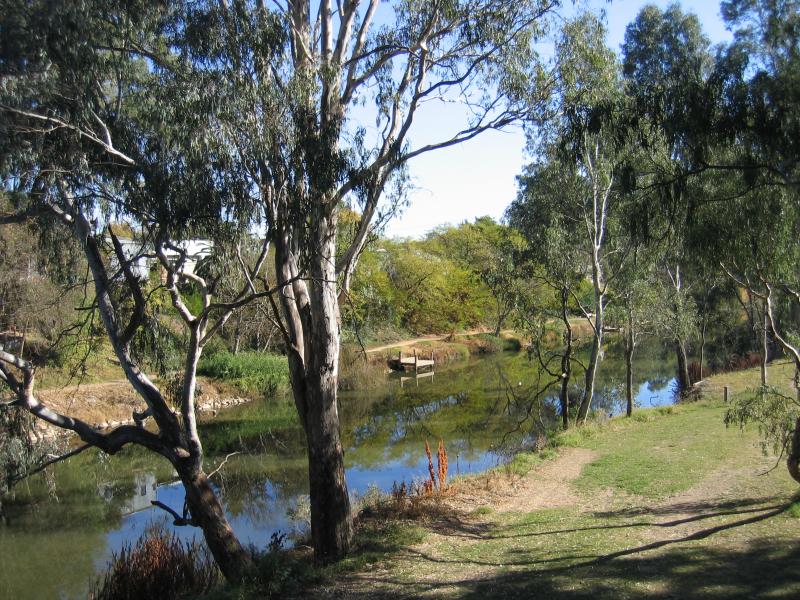 Wangaratta - Ovens River and Apex Park: View north along Ovens River and through Apex Park from Parfitt Rd
