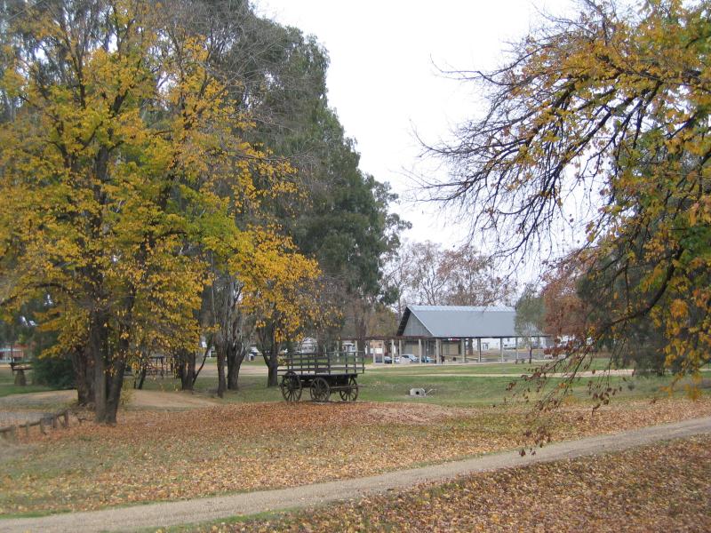 Wangaratta - Ovens River and Apex Park: Apex Park