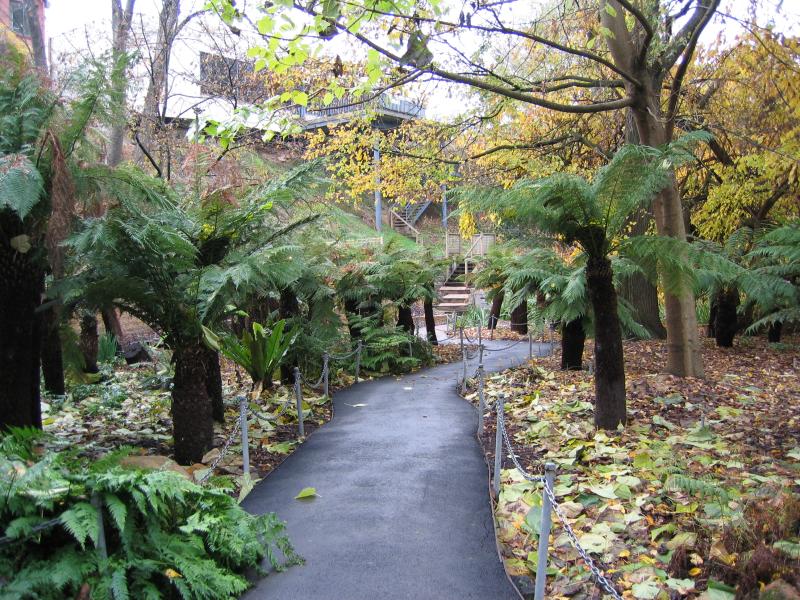 Wangaratta - Merriwa Park: Fernery