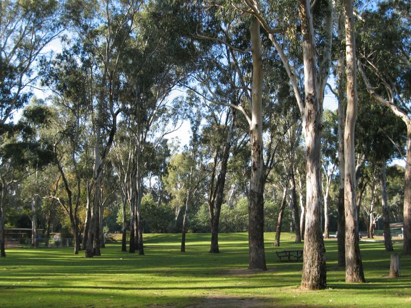 Wangaratta - Merriwa Park: Grassy picnic areas