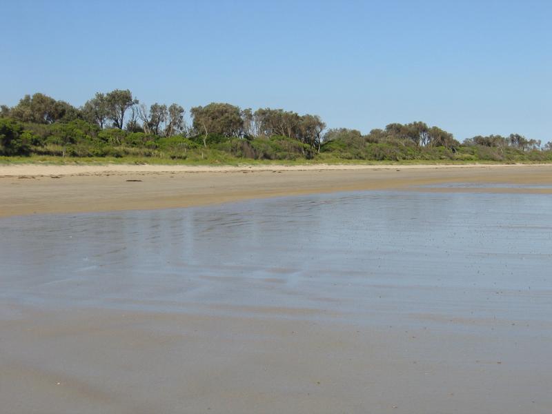 Waratah Bay - Beach and foreshore, Gale Street near Moongana Street: View of foreshore from beach