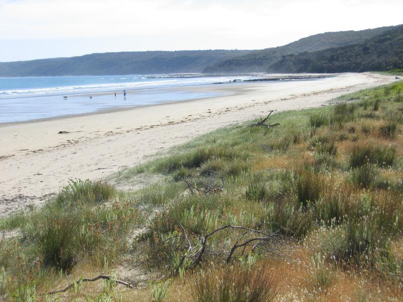 Waratah Bay - Beach and foreshore, Gale Street near Moongana Street: View west along coast