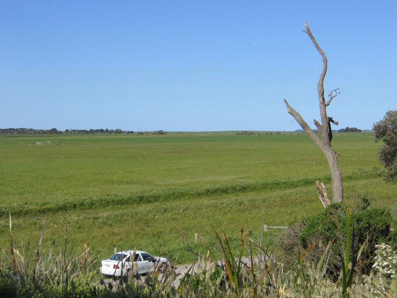Waratah Bay - Fish Creek Road near Gale Street: Easterly view across grazing land near corner of Fish Creek Rd and Gale St