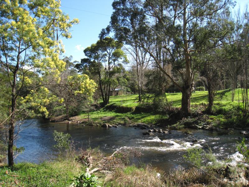 Warburton - Yarra River Walk: View west along river, west of Story Reserve