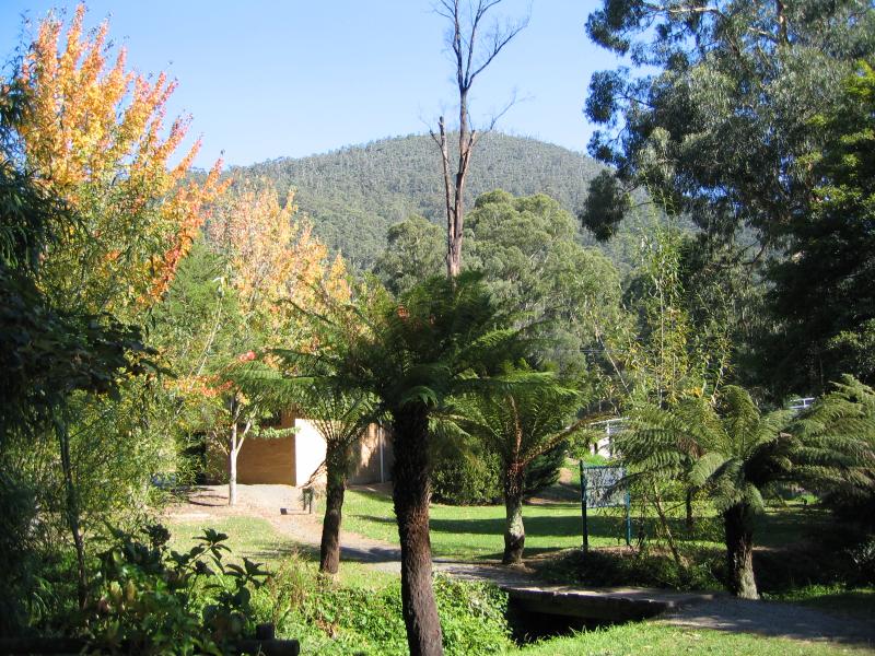 Warburton - Scotchmans Creek at Yarra River: Gardens along Yarra River