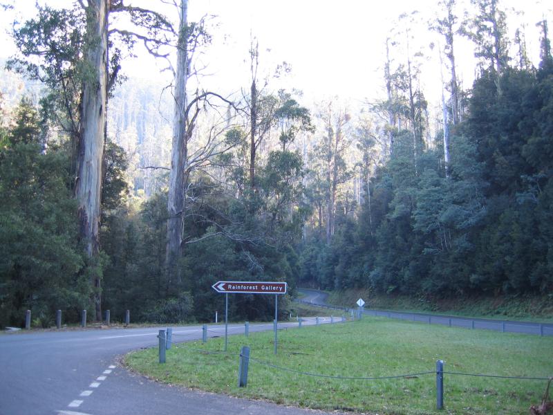 Warburton - Cement Creek and Rainforest Gallery: Access to Rainforest Gallery, Acheron Way and Donna Buang Rd intersection