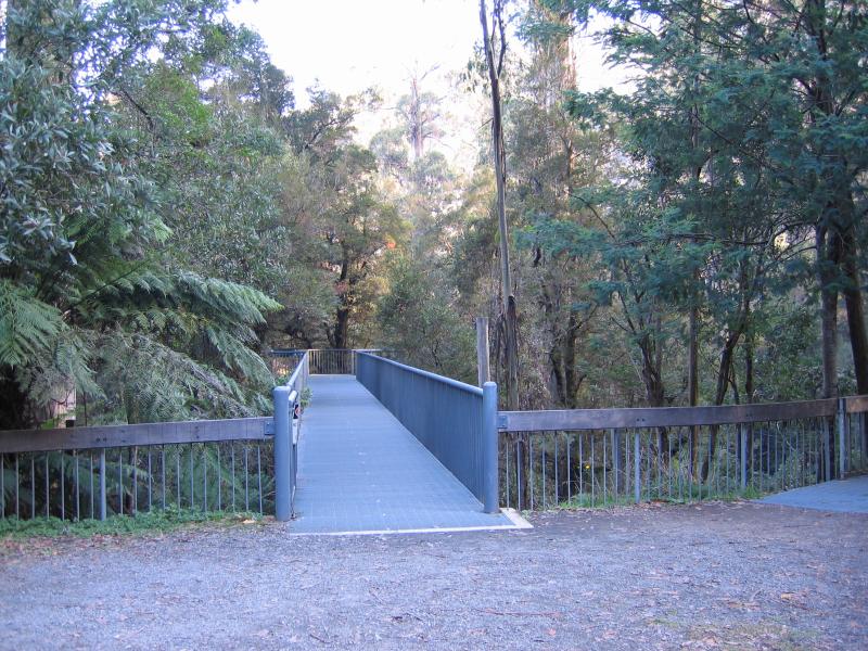 Warburton - Cement Creek and Rainforest Gallery: Entrance to Rainforest Gallery Skywalk