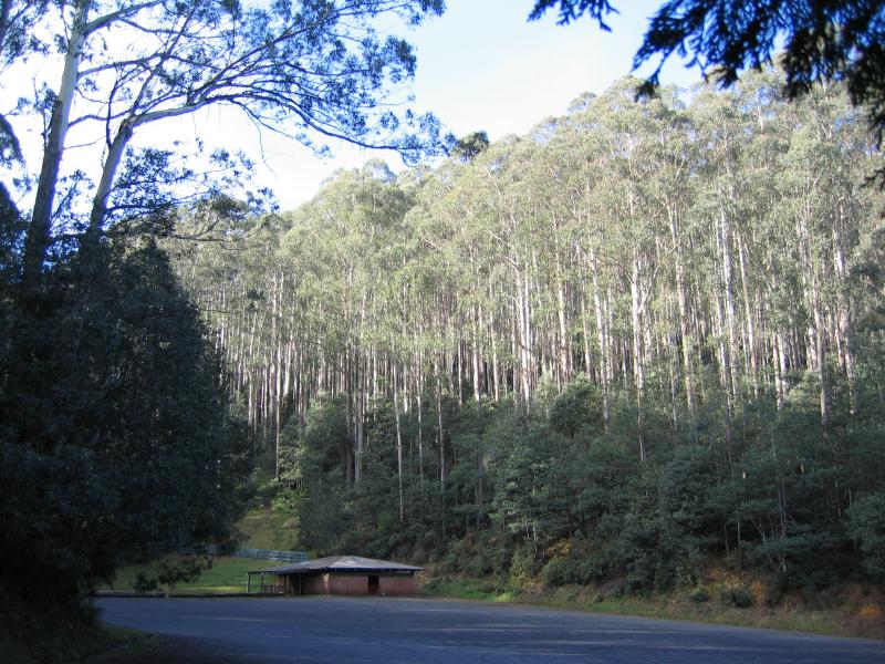 Warburton - Road from Cement Creek to Mount Donna Buang summit: 'Ten Mile', shelter and car park