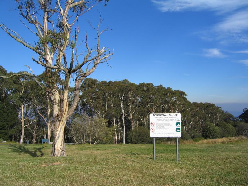 Warburton - Summit of Mount Donna Buang: Toboggan slope
