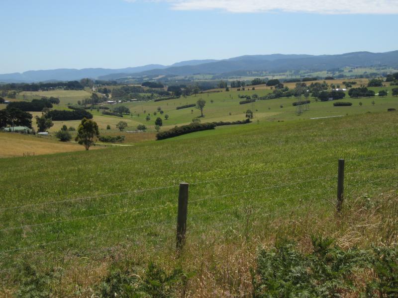 Warragul - Brandy Creek Road: Northerly view, south of Cazalys Rd