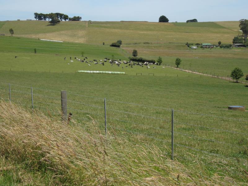 Warragul - Brandy Creek Road: View south across grazing fields near power transmission lines